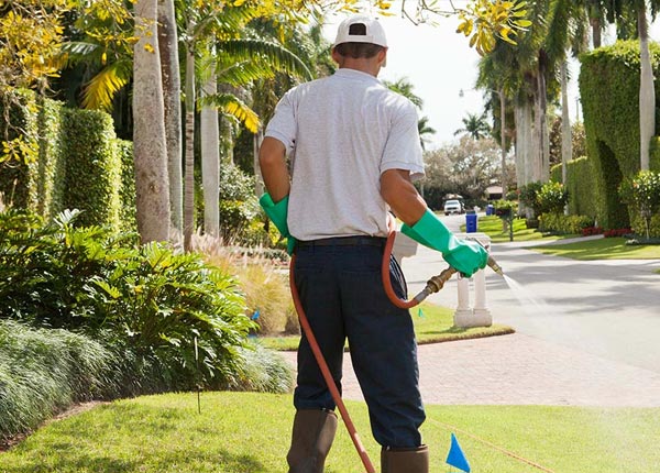 About Mayfield KS Pest Control Pros